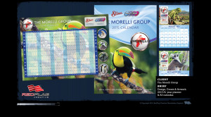 morelli design portfolio