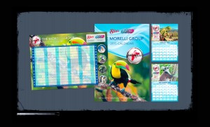 the-Morelli-Group-Portfolio-background